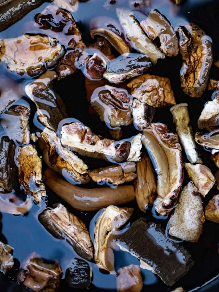 Porcini mushrooms in water.