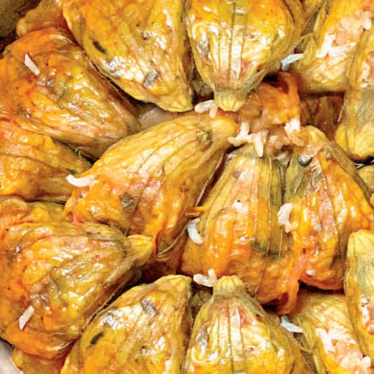 Greek stuffed zucchini flowers on a plate with tzatziki sauce