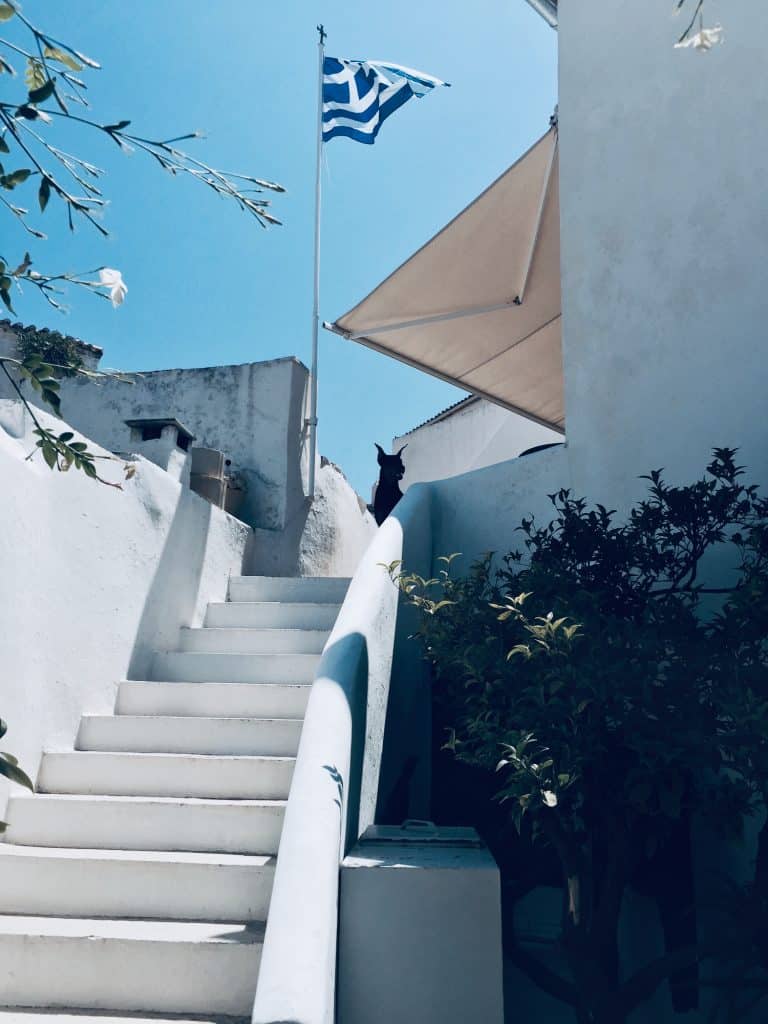 A white outdoors staircase in a house, a dog some plants and a Greek flag.