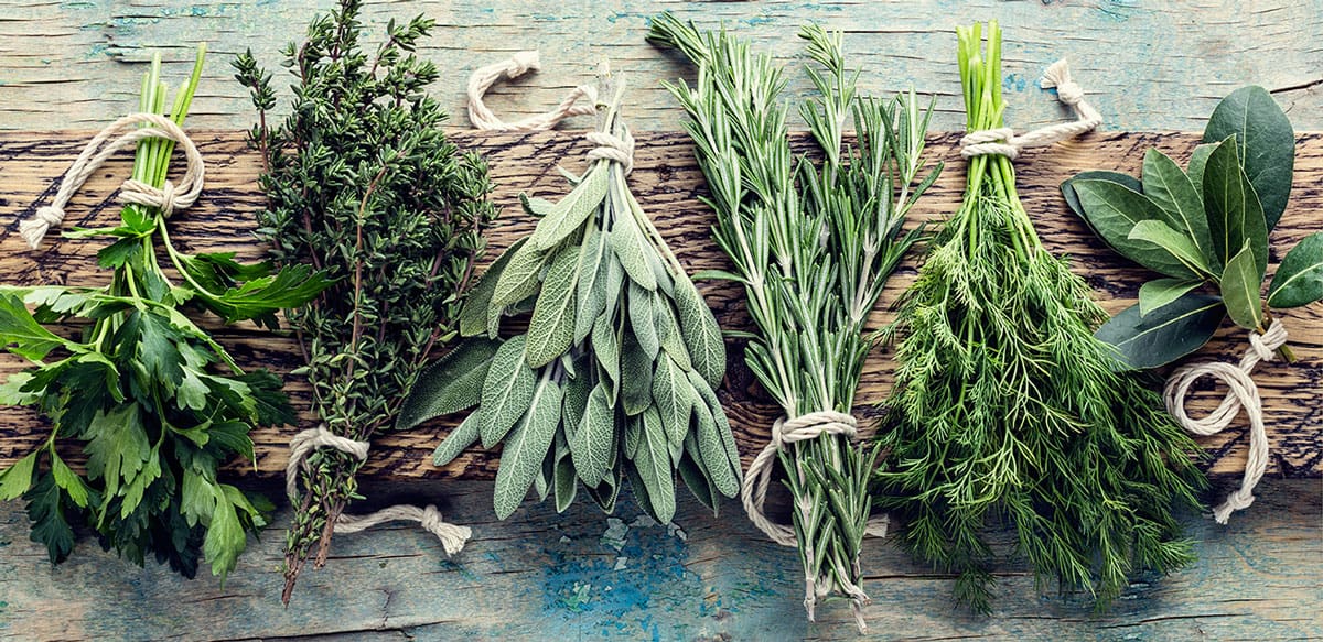 Fresh herb bunches like parsley, thyme, sage, oregano, dill on a wooden board.