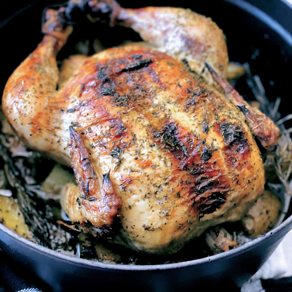 A chicken seasoned with fresh herbs in a black dutch oven.