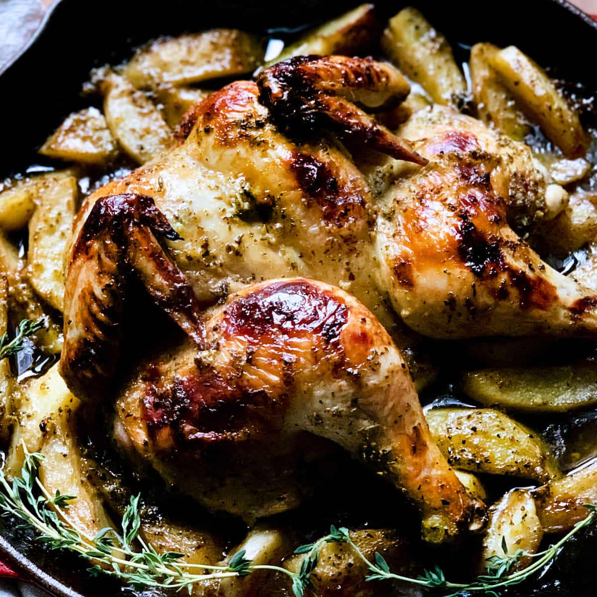 Greek Spatchcock  Chicken with Lemon & Garlic