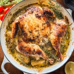 A Greek spatchcock chicken in a cast iron pan with potatoes. Lemon and herbs at the back in the sunshine