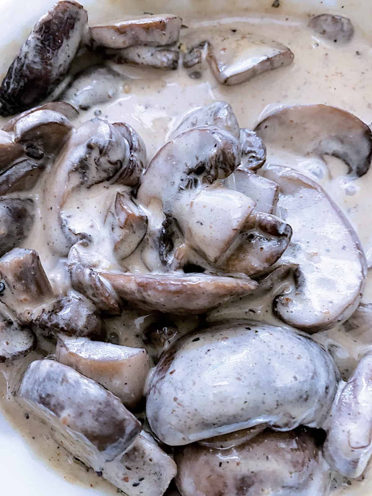 Creamy Mushroom Sauce - The Greek Foodie