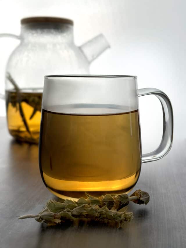 Greek Mountain Tea - The Greek Foodie
