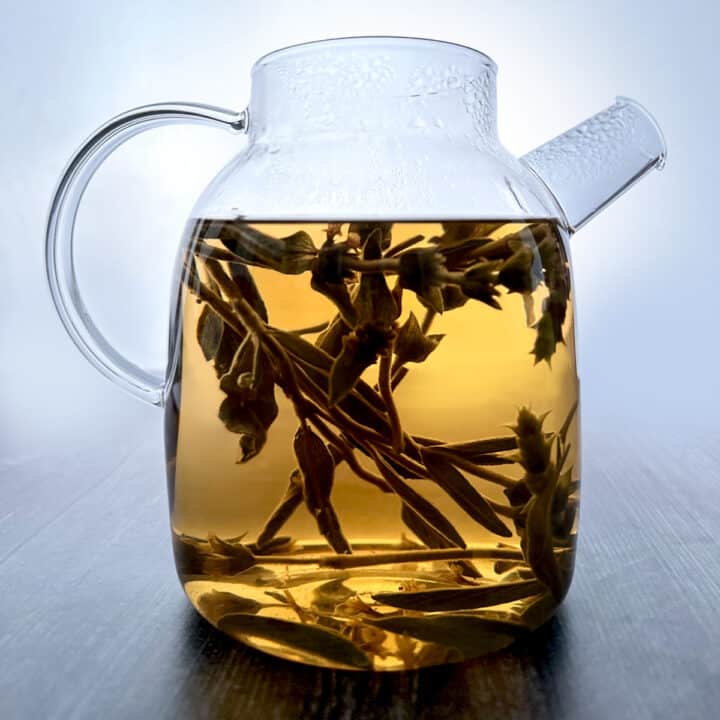 A glass teapot with mountain tea sprigs and water on a dark table, backlit with day light.