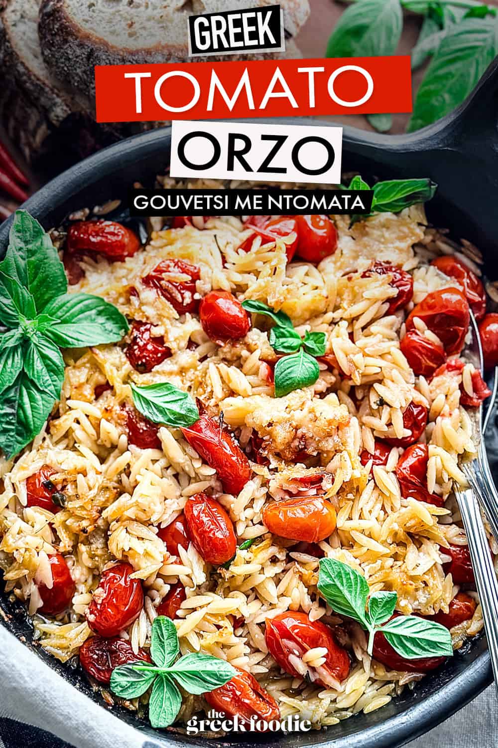 Orzo Pasta With Tomatoes And Parmesan