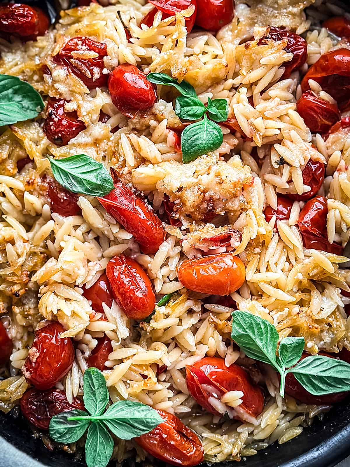 Close up of a baking pan with orzo pasta, tomatoes, fresh basil leaves and parmesan.