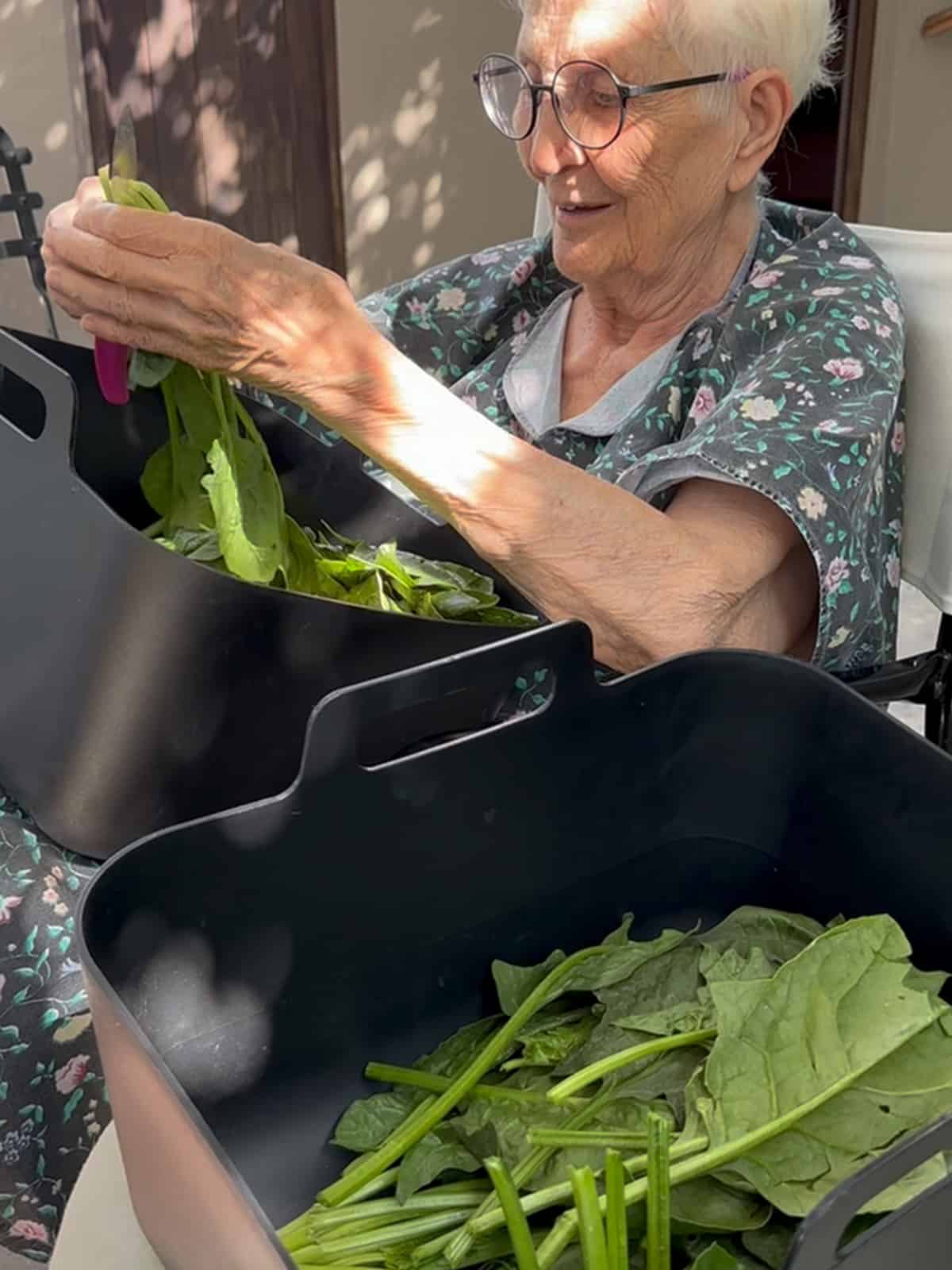 An elderly woman sitting outdoors on a chair trimming spinach over two large bowls.