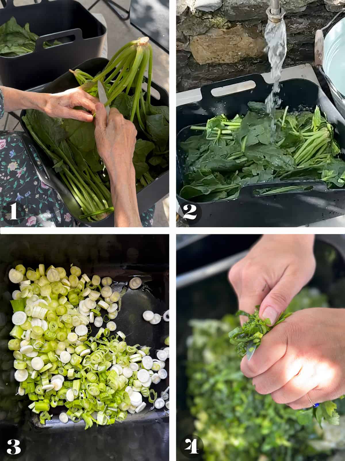 Four images of trimming, washing greens and spring onions.