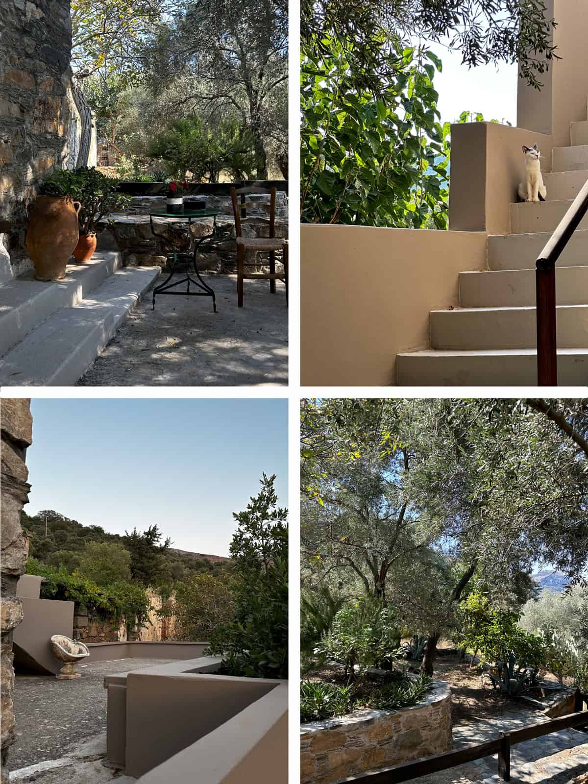 Four images of a house in the mountains of Crete. A table and a wooden chair in a yard, a staircase with a small cat sitting on a step, a veranda with the view of the mountains and an olive tree grove next to the house.