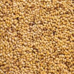 Pasteli sesame candy.