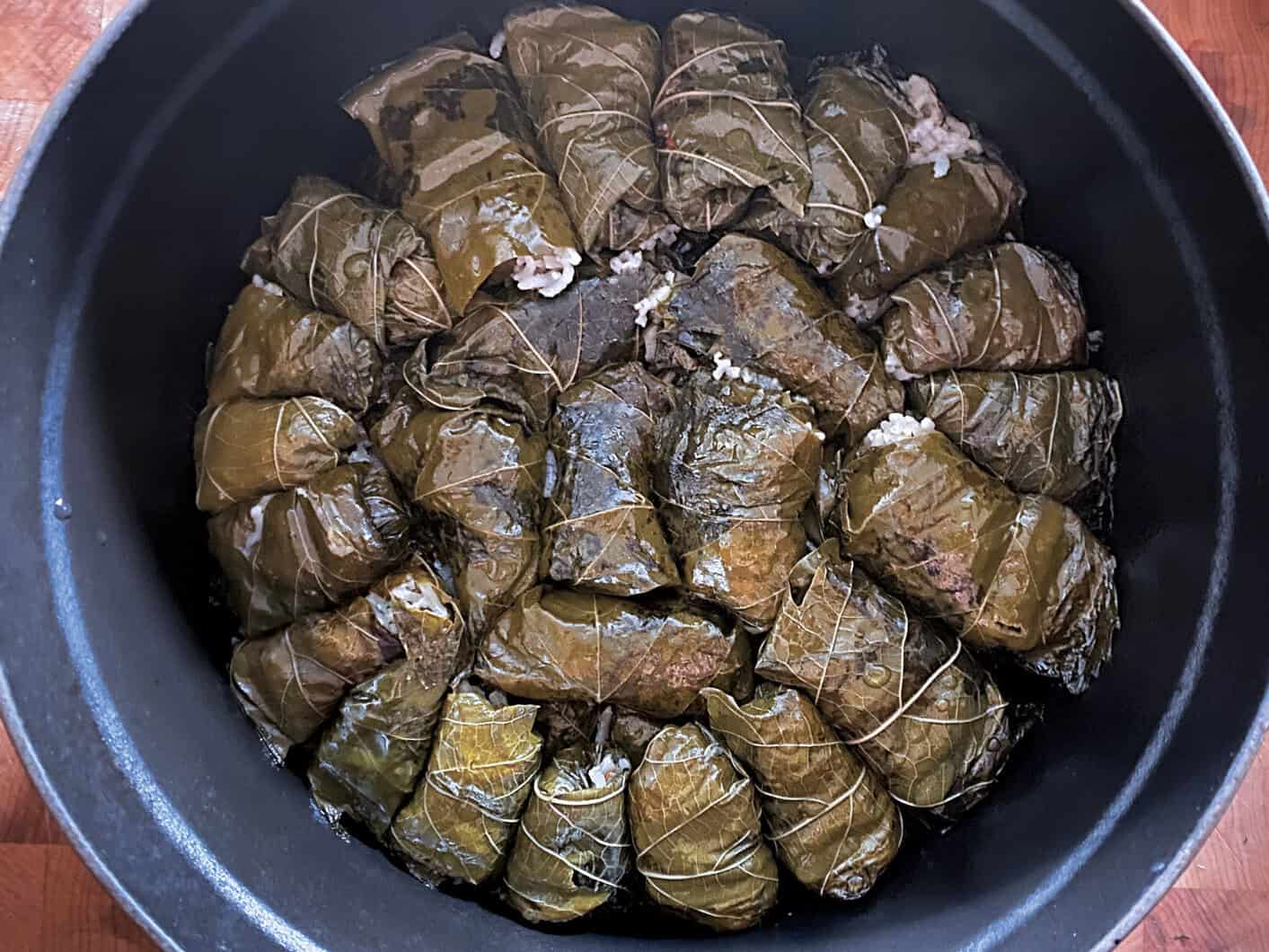 Cooked Greek dolmadakia - stuffed grape leaves in a pot.