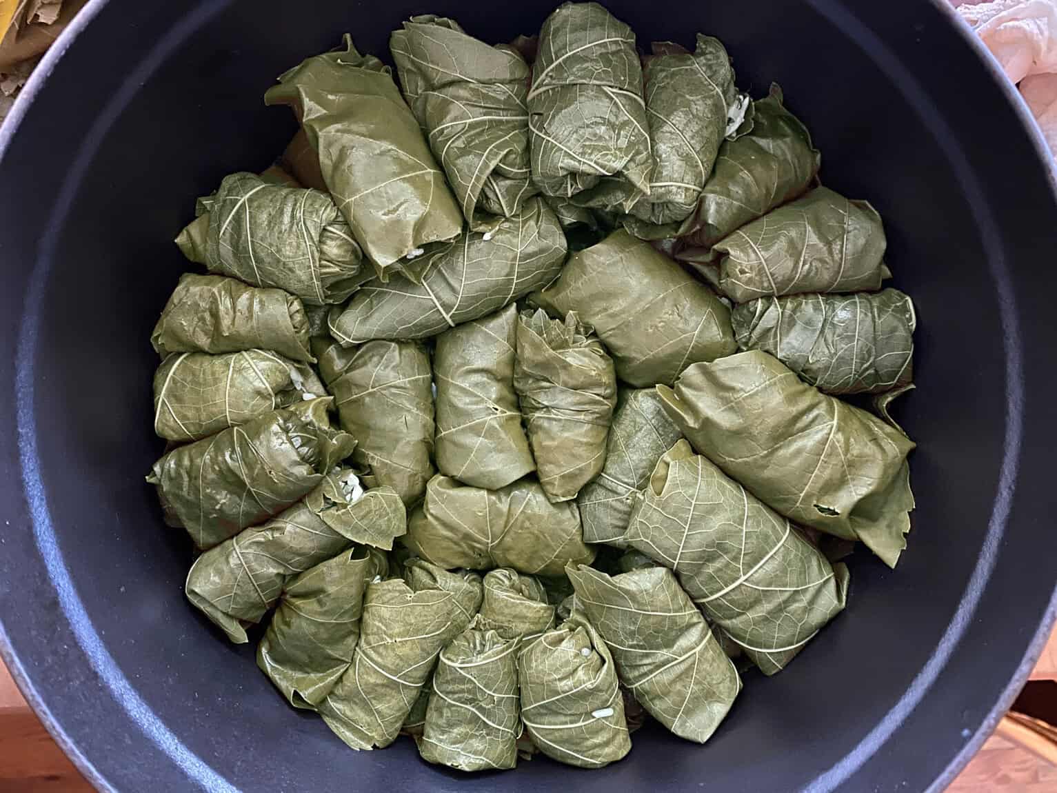 Cooked Greek dolmadakia - stuffed grape leaves in a pot.
