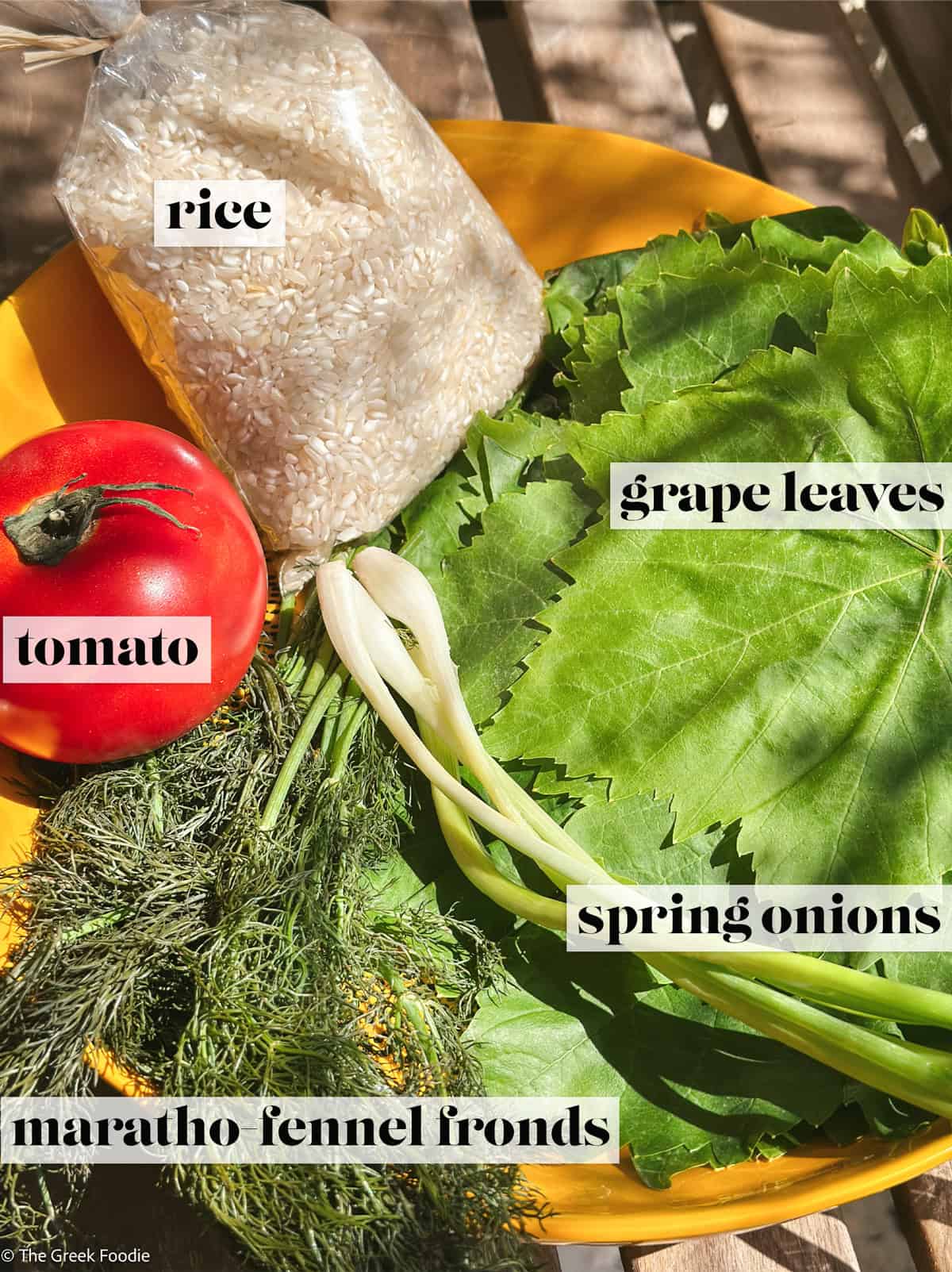 A tomato, fennel fronds, spring onions, grape leaves and rice in a yellow plate under the sun.