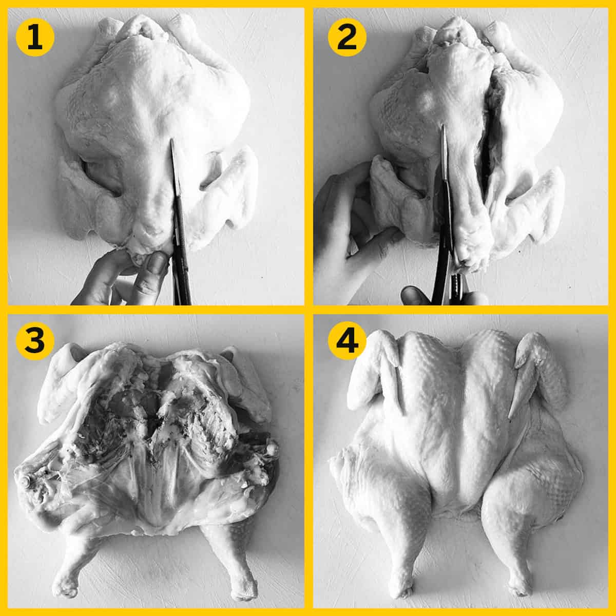 Four images with instructions for spatchkocking a chicken.