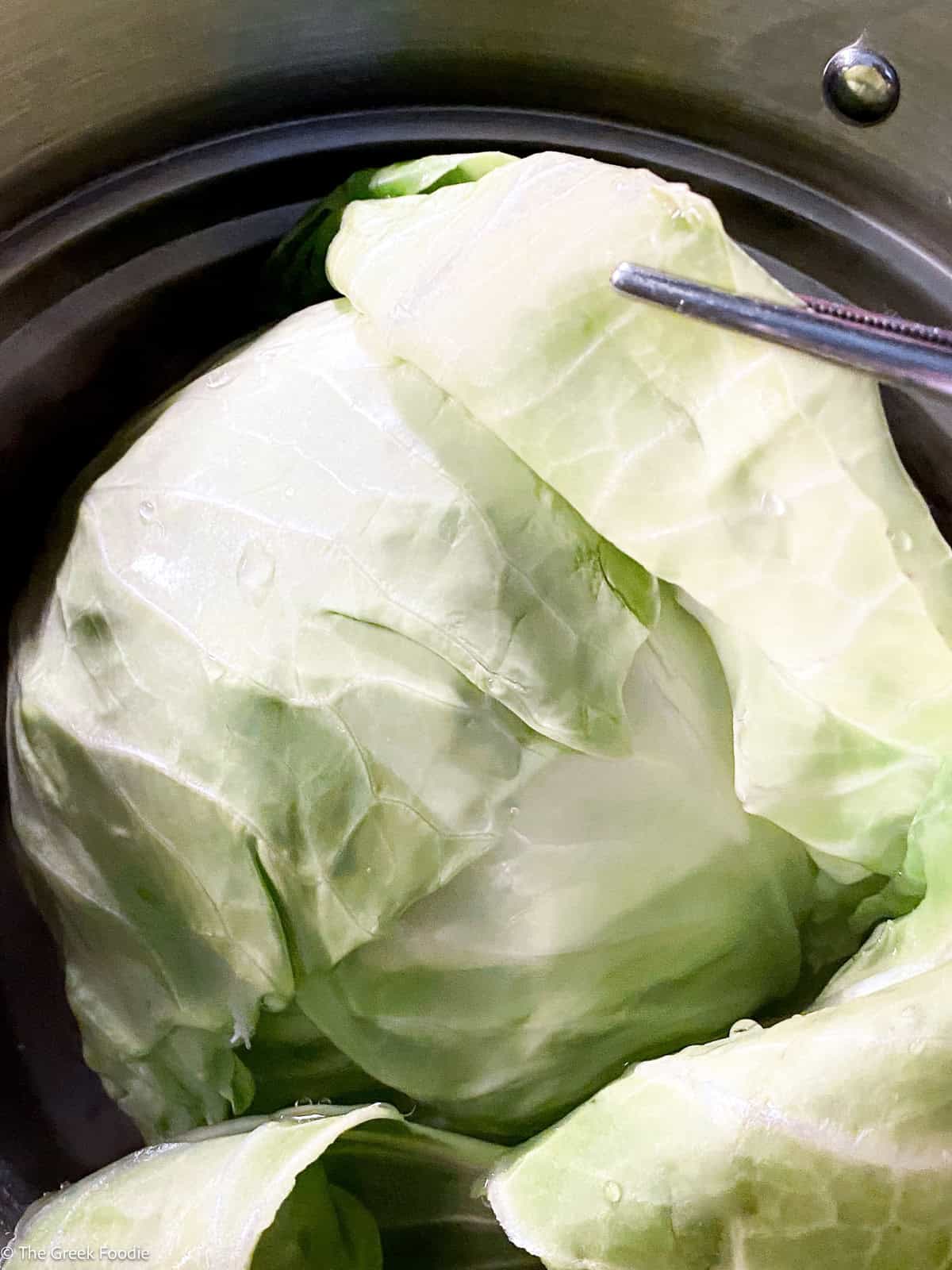 Whole cabbage head in a pot of boiling water, outer leaves loosening, tongs lifting one away