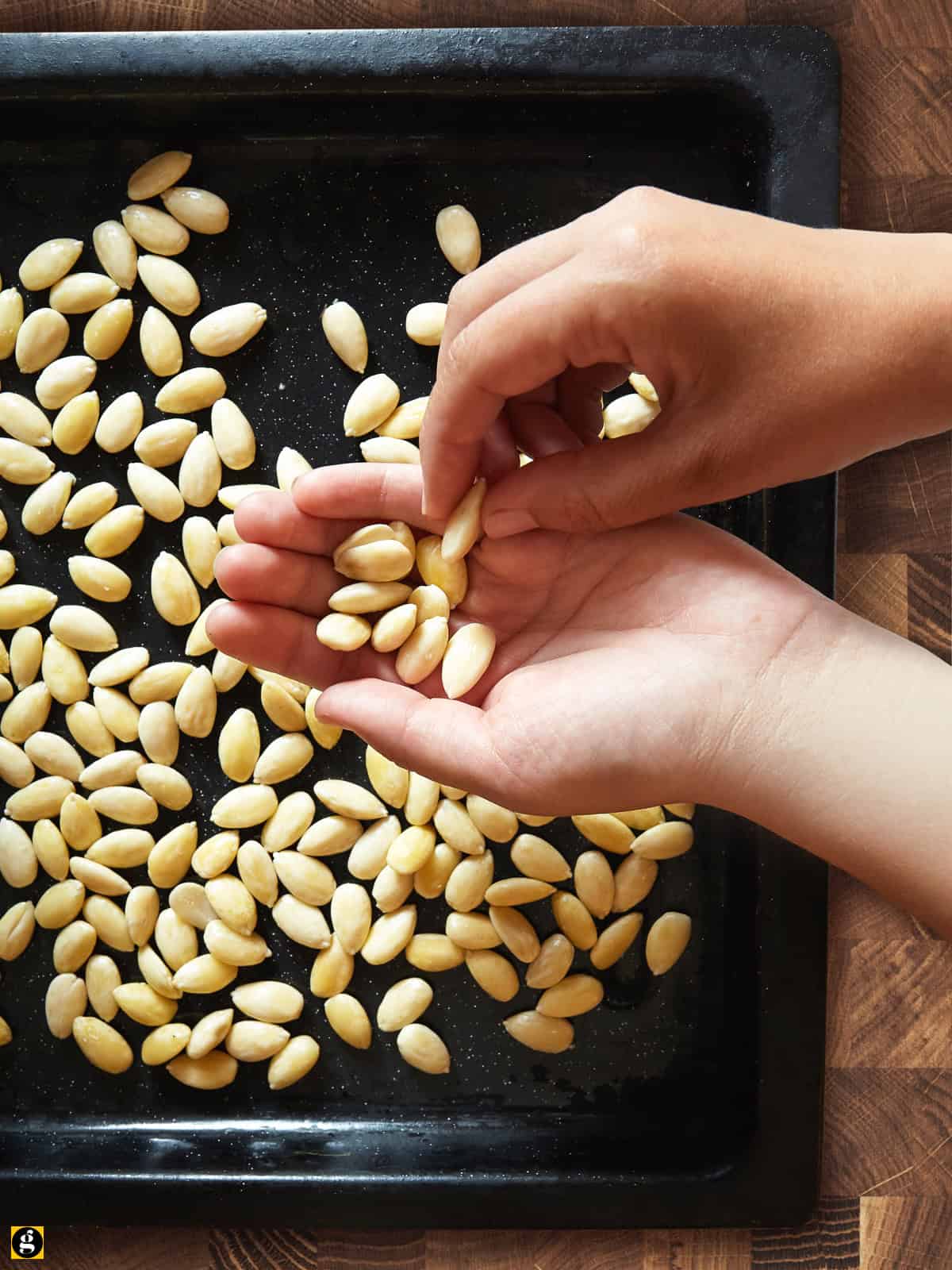 Hands laying blanched almonds to be toasted golden on a small baking tray.